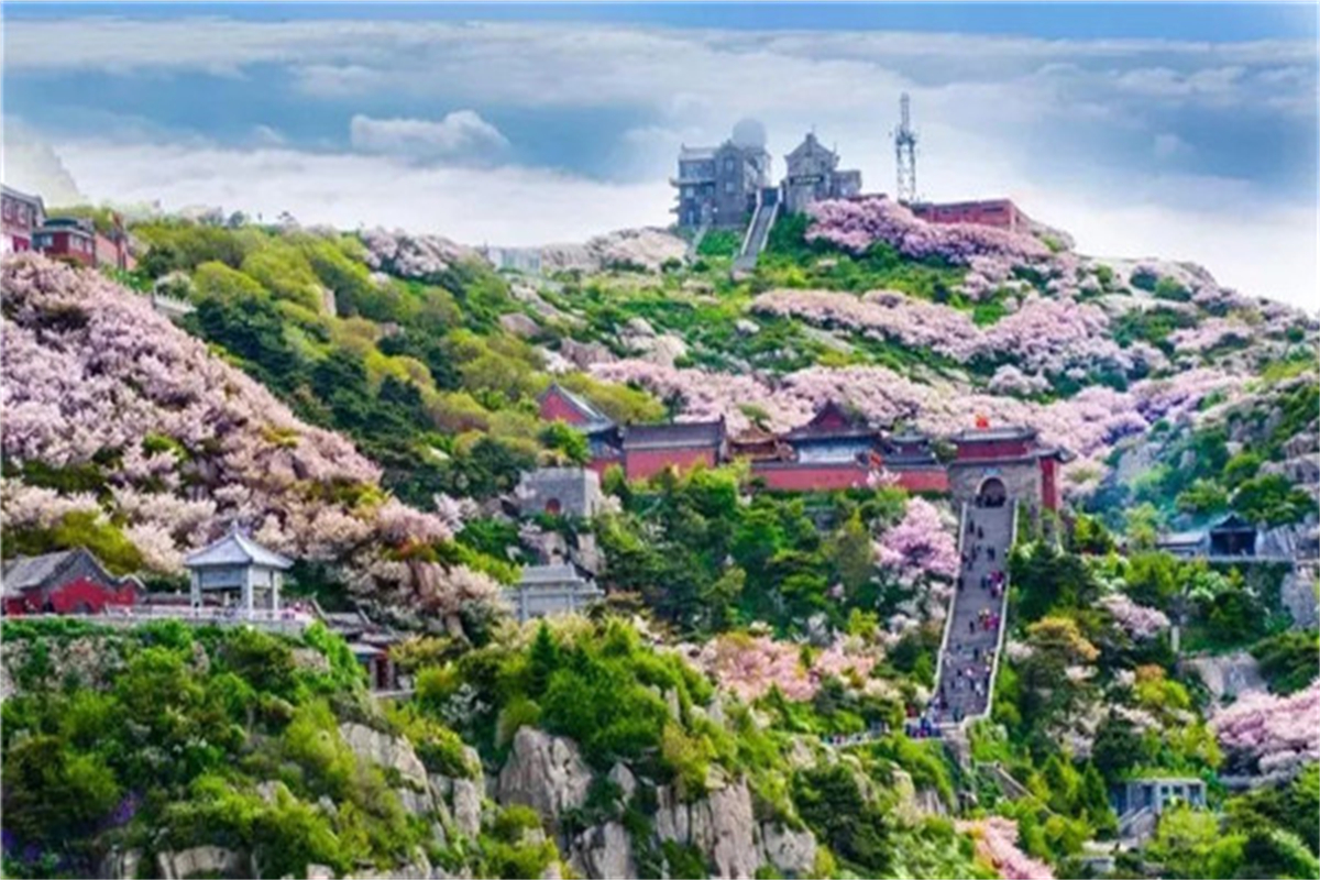 Enjoy spring scenery on mountains in Shandong