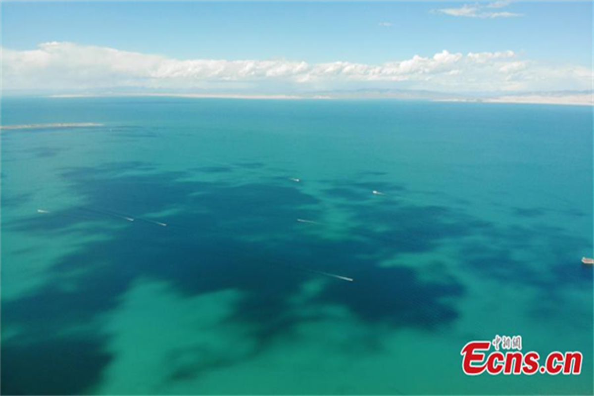 China announces establishment of national park at Qinghai Lake(1/3)
