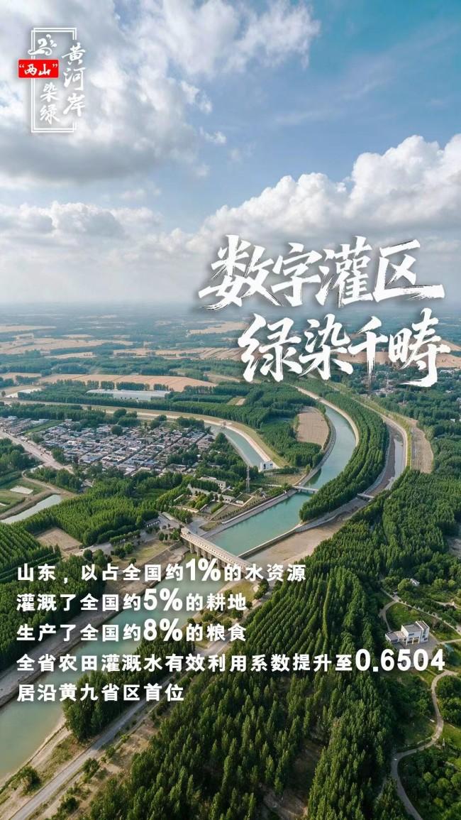 “两山”染绿黄河岸 